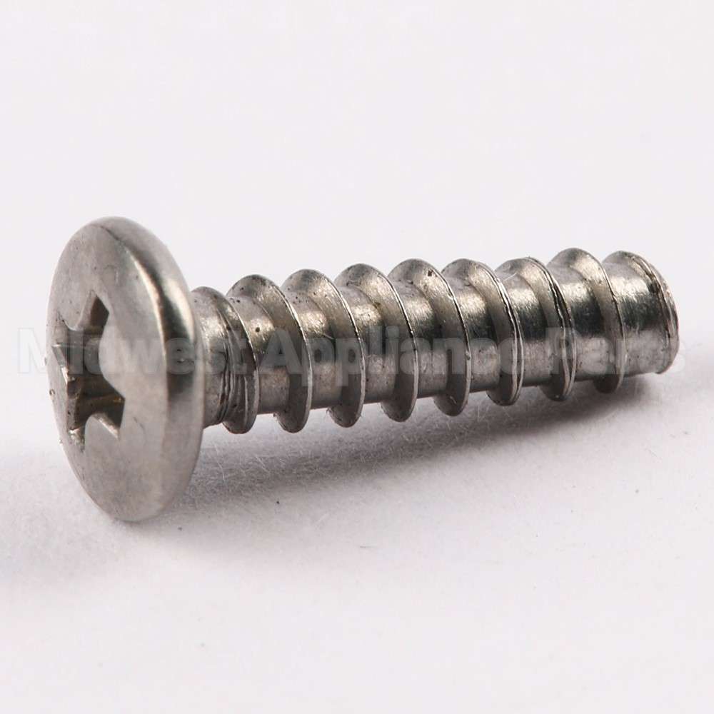 WE02X10060 GE Screw