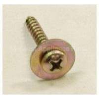 WH02X10200 GE Screw_Washer_St4*25