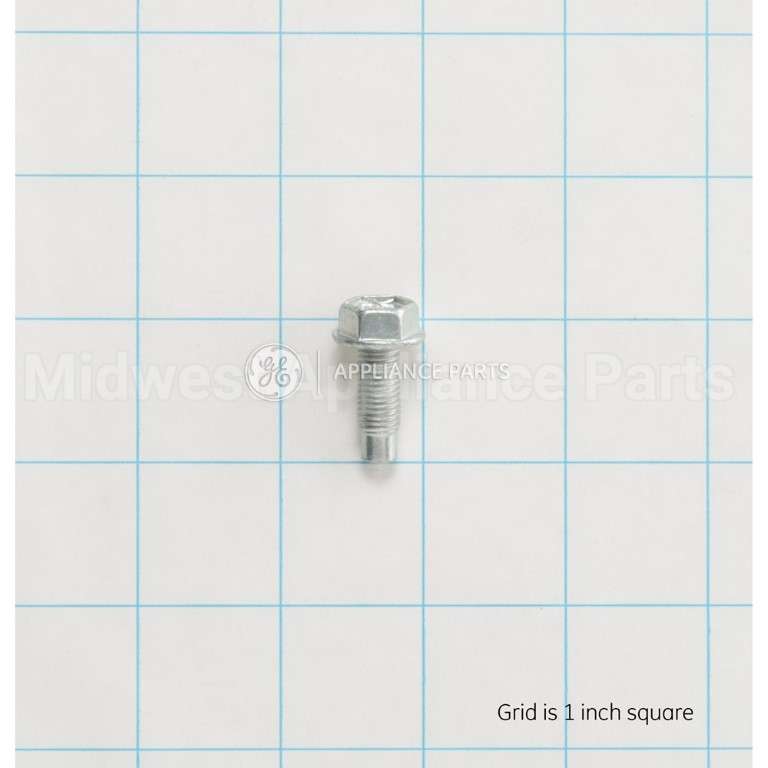 WH02X10380 GE Scr 5/16-24 2A Sinuloc