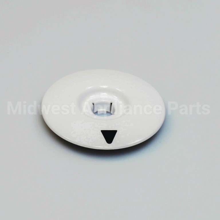 WH11X10049 GE Dial Asm