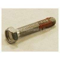 WH2X1107 GE Screw