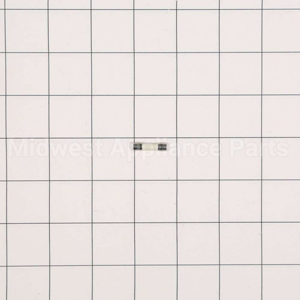WP23X10027 GE Fuse