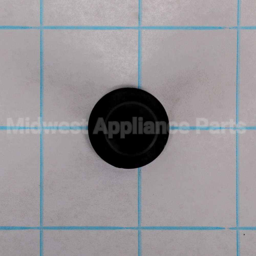 WR01X10956 GE Thimble Door