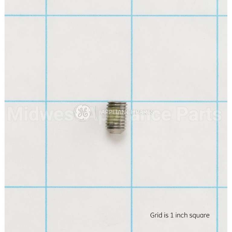 WR01X11057 GE Set Screw .250 Dia.