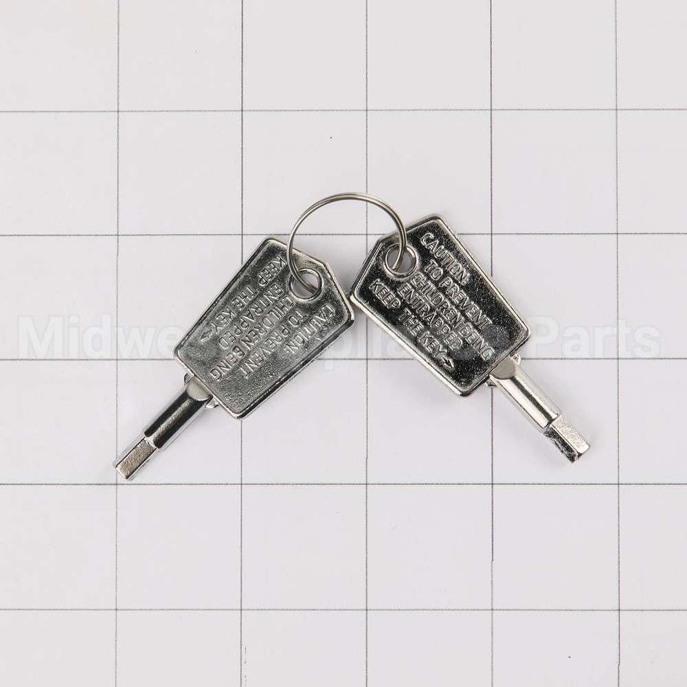 WR01X28053 GE Door Key