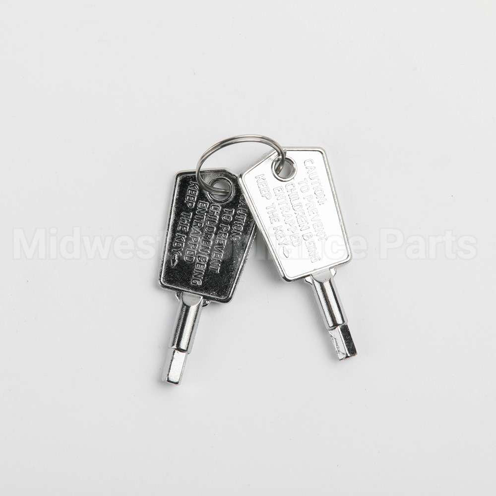 WR01X28053 GE Door Key
