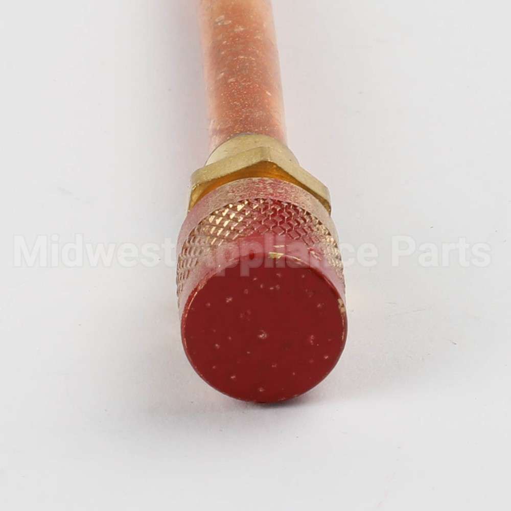 WR87X30876 GE R600 Process Valve W/ Red Cap