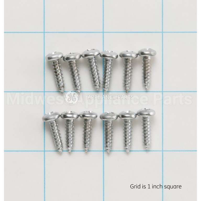 WZ4X245D GE Screw-Pkg 12