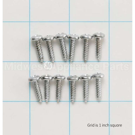 WZ4X245D GE Screw-Pkg 12