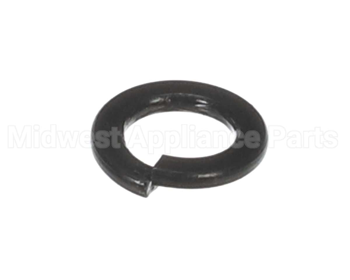 X30198 Globe Washer