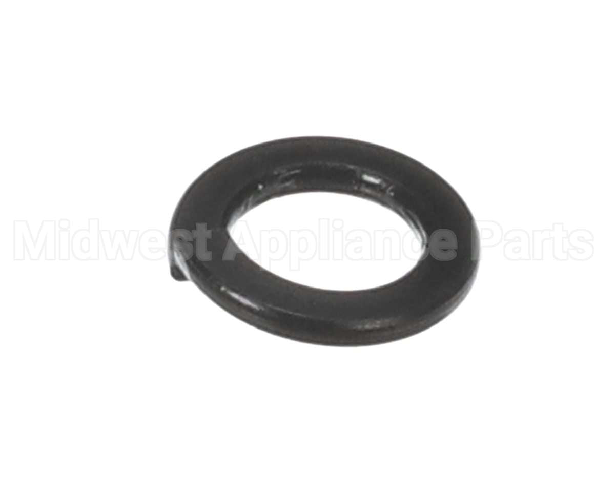 X30198 Globe Washer