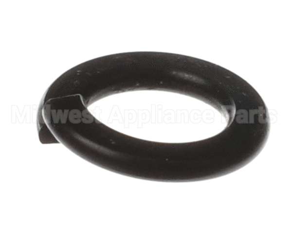 X80B02 Globe Spring Washer