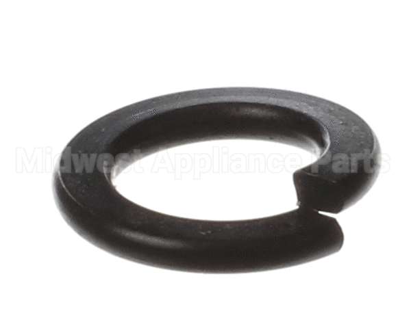 X80B02 Globe Spring Washer