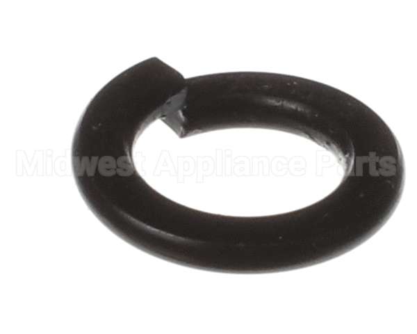 X80B02 Globe Spring Washer