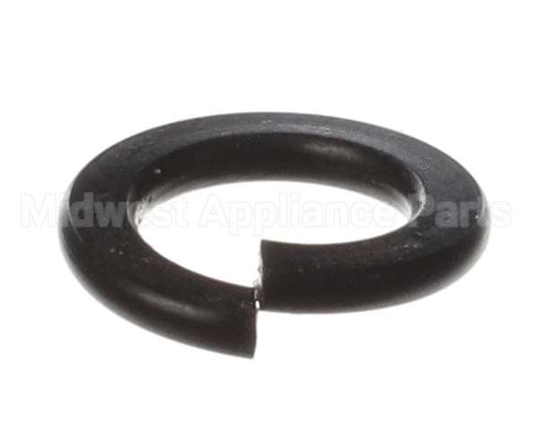 X80B02 Globe Spring Washer