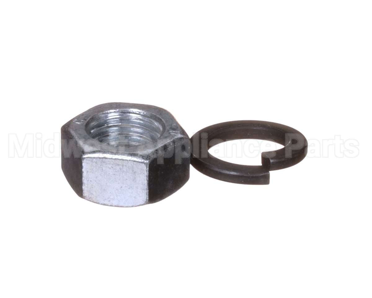 X80H49 Globe Washer