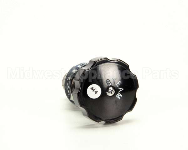 Z055279 Groen Valve Globe 3/8 Npt