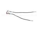 00-133320-00005 Hobart Pilot Light