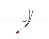 00-294700-004-5 Hobart Pilot Light
