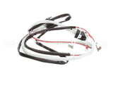 00-419343-000G1 Vulcan Hart Wire Harness