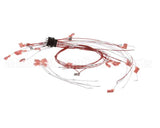 00-424198-000G1 Vulcan Hart Wire,Set Assembly.