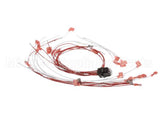 00-424198-000G1 Vulcan Hart Wire,Set Assembly.