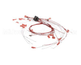 00-424198-000G1 Vulcan Hart Wire,Set Assembly.