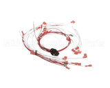 00-424198-000G1 Vulcan Hart Wire,Set Assembly.