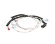 00-498202-00072 Vulcan Hart Harness,972Rx Wiring