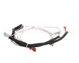 00-498202-00072 Vulcan Hart Harness,972Rx Wiring