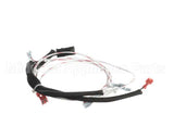 00-498202-00072 Vulcan Hart Harness,972Rx Wiring
