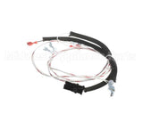 00-498202-00072 Vulcan Hart Harness,972Rx Wiring