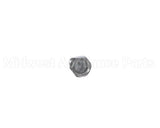 00-498756 Vulcan Hart Hex Screw