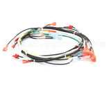 00-854285-00001 Vulcan Hart Harness,Intermittent Pilot