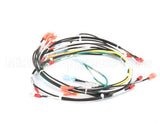 00-854285-00001 Vulcan Hart Harness,Intermittent Pilot