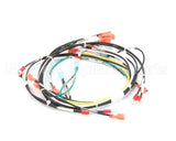 00-854285-00001 Vulcan Hart Harness,Intermittent Pilot