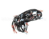 00-855691-00001 Vulcan Hart Harness,