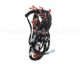 00-855692-00001 Vulcan Hart Harness,Wire C24Ga