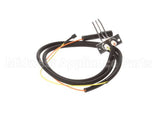 00-855843-00001 Vulcan Hart Spark Ignitor