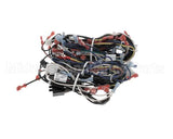 00-856745-00001 Vulcan Hart Harness,Wiring C24Ea Pro