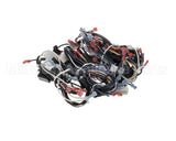 00-856745-00001 Vulcan Hart Harness,Wiring C24Ea Pro