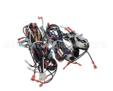 00-856745-00001 Vulcan Hart Harness,Wiring C24Ea Pro