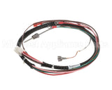 00-857417-00001 Vulcan Hart Pressure Switch Harness