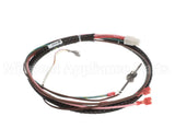 00-857417-00001 Vulcan Hart Pressure Switch Harness
