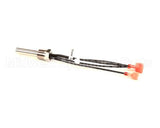 00-858466-00001 Vulcan Hart Drain Probe