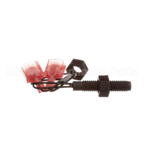 00-916902-00003 Berkel Switch,Reed