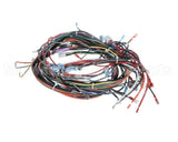 00-919690 Hobart Harness,Main,Cntrl Box