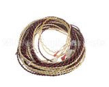00-919808-00008 Hobart Harness,Low Volt,Tank 1,R-L