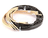 00-927608-000G2 Vulcan Hart Harness, French Plate 480V