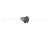 00-938005-00007 Berkel Screw
